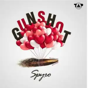 Spyro - Gunshot